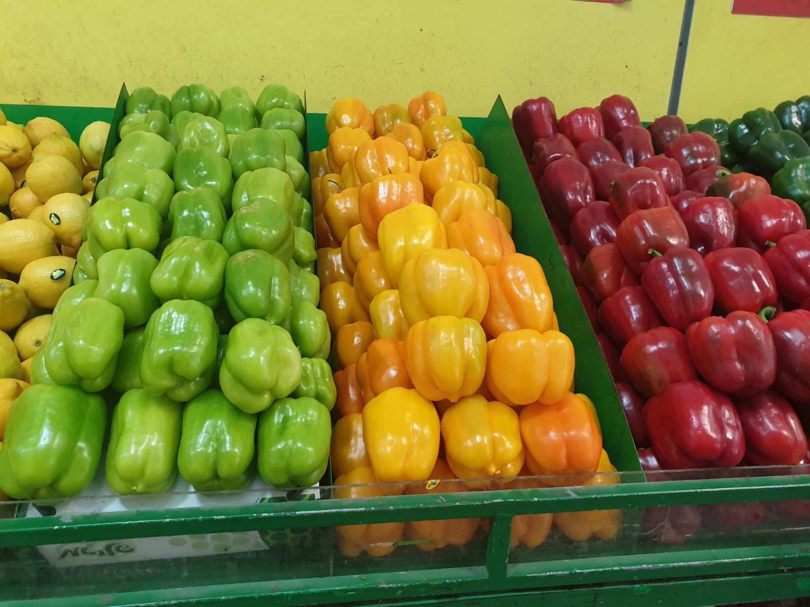 WhatsApp Image 2021-04-15 at 1.57.21 PM.jpeg